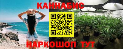 индика Прокопьевск