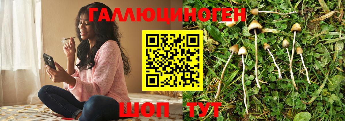 Галлюциногенные грибы GOLDEN TEACHER  Вход с VPN  сколько стоит  Псилоцибиновые грибы мицелий  Нурлат 
