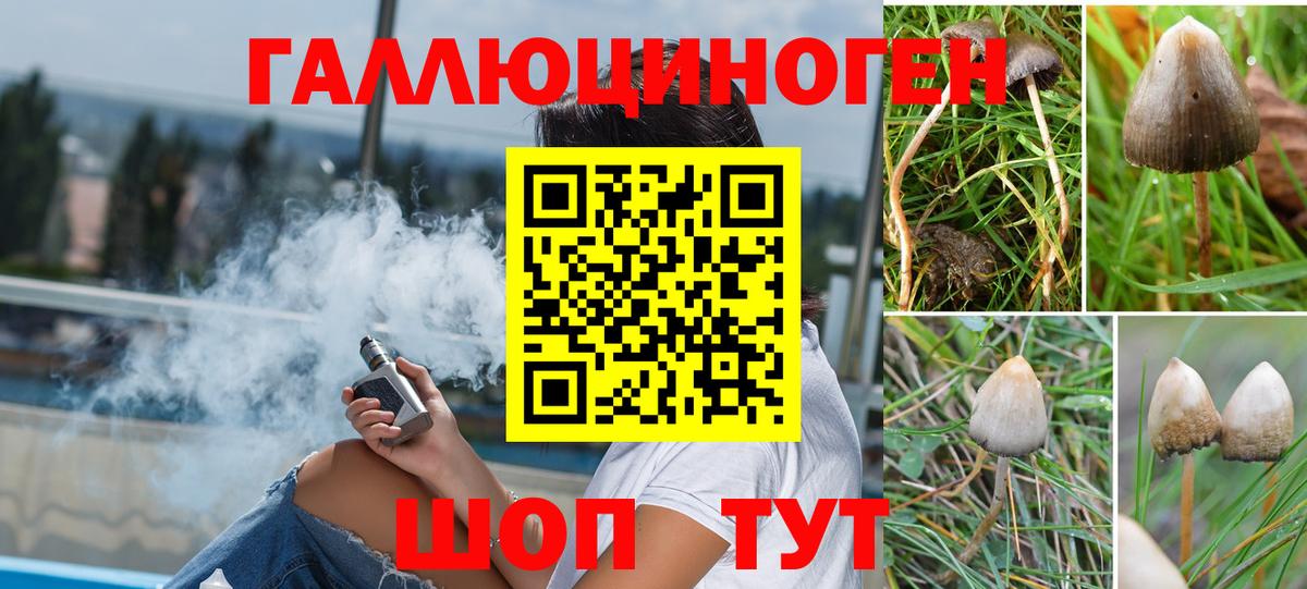 Галлюциногенные грибы Cubensis Нурлат